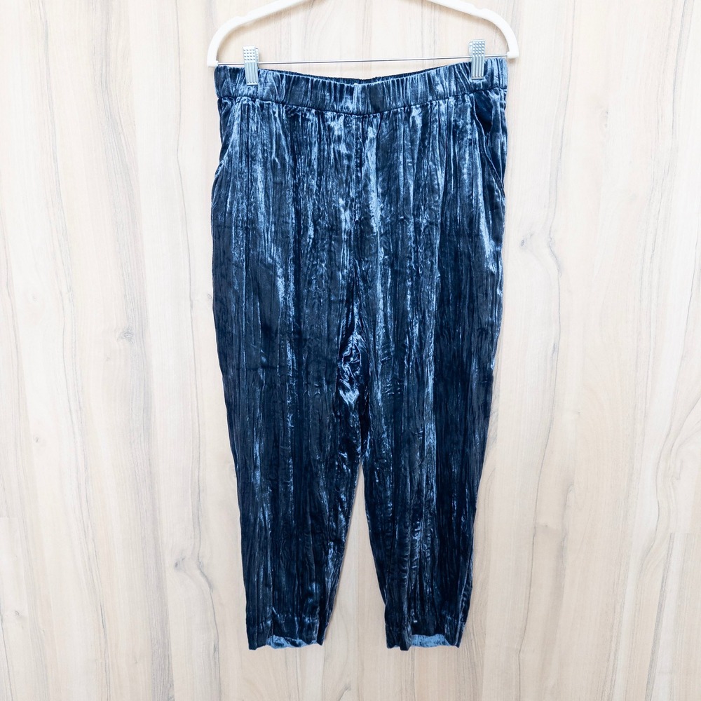 Ett:twa Anthropologie Womens Velvet Pants MP Blue Elastic Waist Tapered Boho